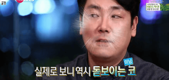 코 성형수술 의혹에 해명하는 연예인들 | 인스티즈