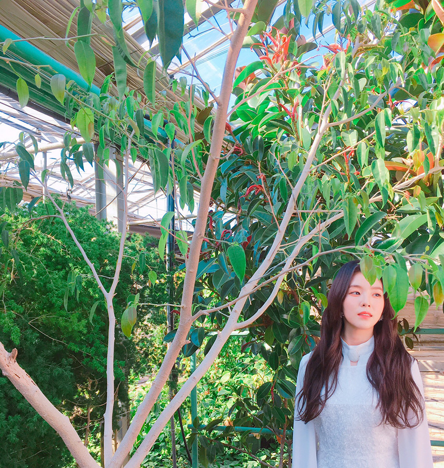  4세대 아이돌 외모 원탑 | 인스티즈