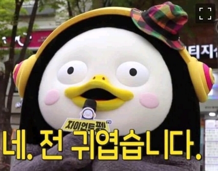 아기고양이가 밥을 안먹어요.......jpg | 인스티즈