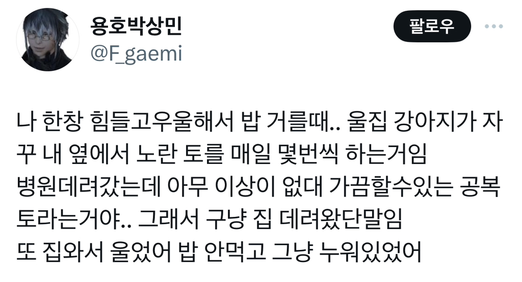 나 한창 힘들고우울해서 밥 거를 때.. 울집 강아지가 자꾸 노란 토를 매일 몇번씩 하는거임.twt | 인스티즈