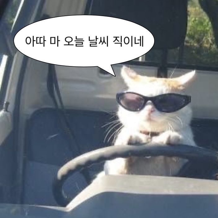 카톡 프사 가능 불가능 고르기 ✨️💤 | 인스티즈
