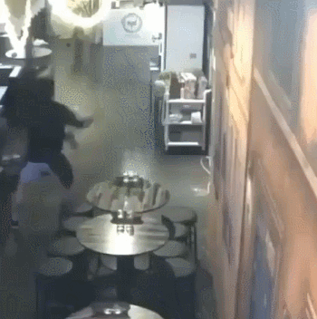 사장님이 맡기고간 강아지가 애교를 과하게 부리네 | 인스티즈