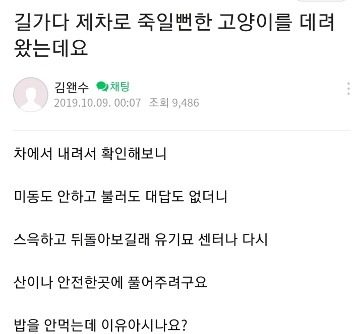 아기고양이가 밥을 안먹어요.......jpg | 인스티즈