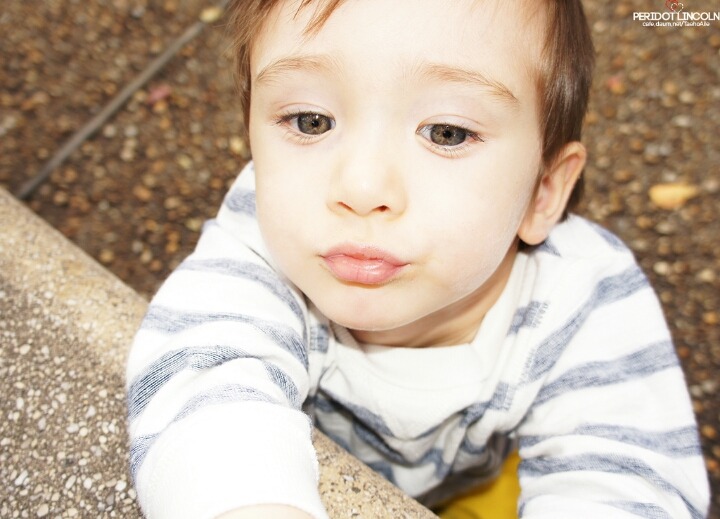 귀+심쿵사 반도의 남자 애기들 jpg | 인스티즈