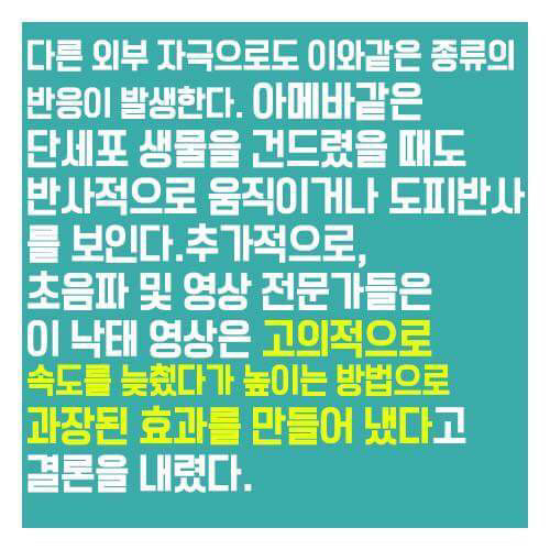 어릴적부터 여자들에게 세뇌시키듯 보여준 낙태비디오의 진실 | 인스티즈