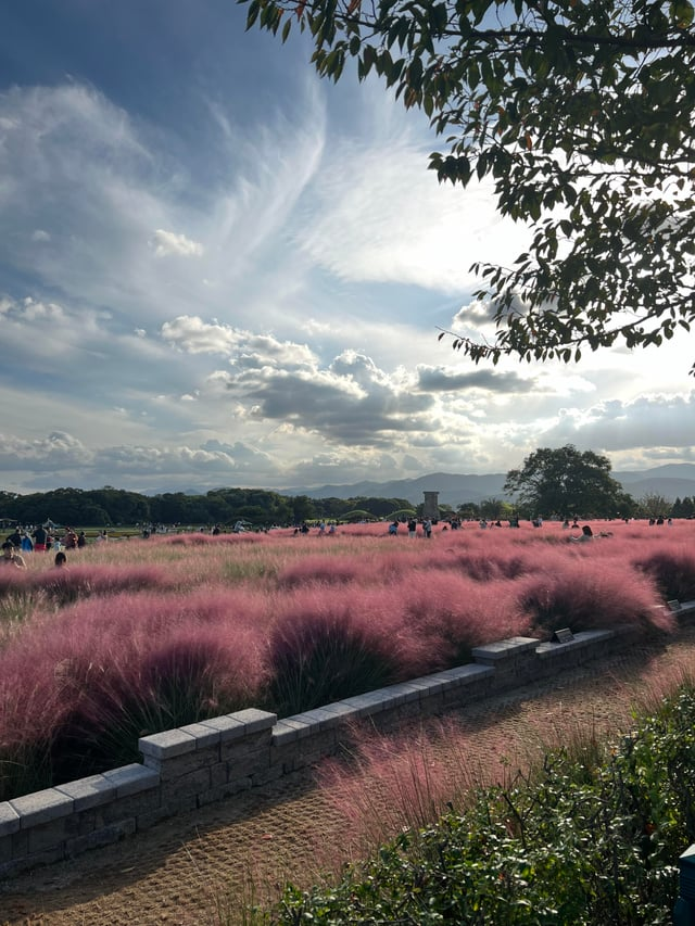 외국인들이 찍은 경주 여행 사진 | 인스티즈