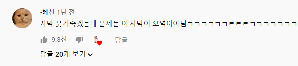 통번역대학원 교수님이 비공식으로 봤을때 가장 잘된 번역 중 하나라고 인정하고 틀어주셨다는 전설의 영상.ytb | 인스티즈