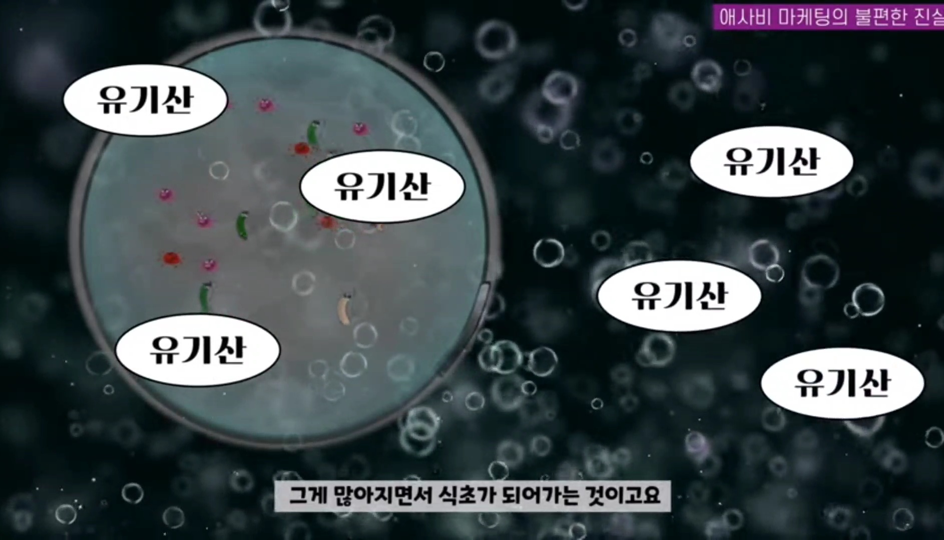 애사비(애플사이다비니거) 진짜 효과 있을까? | 인스티즈