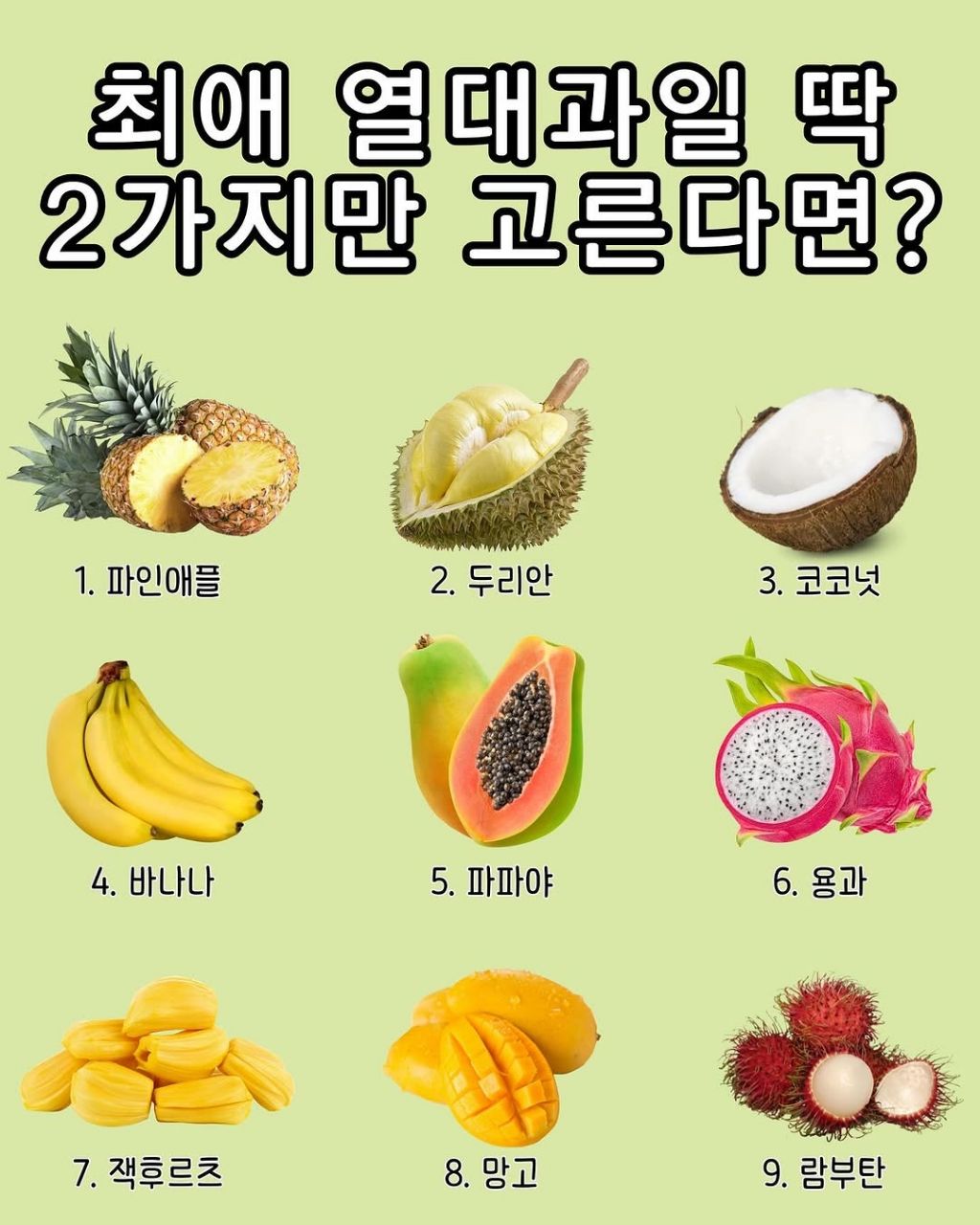 최애 열대과일 딱 2가지만 고른다면? | 인스티즈