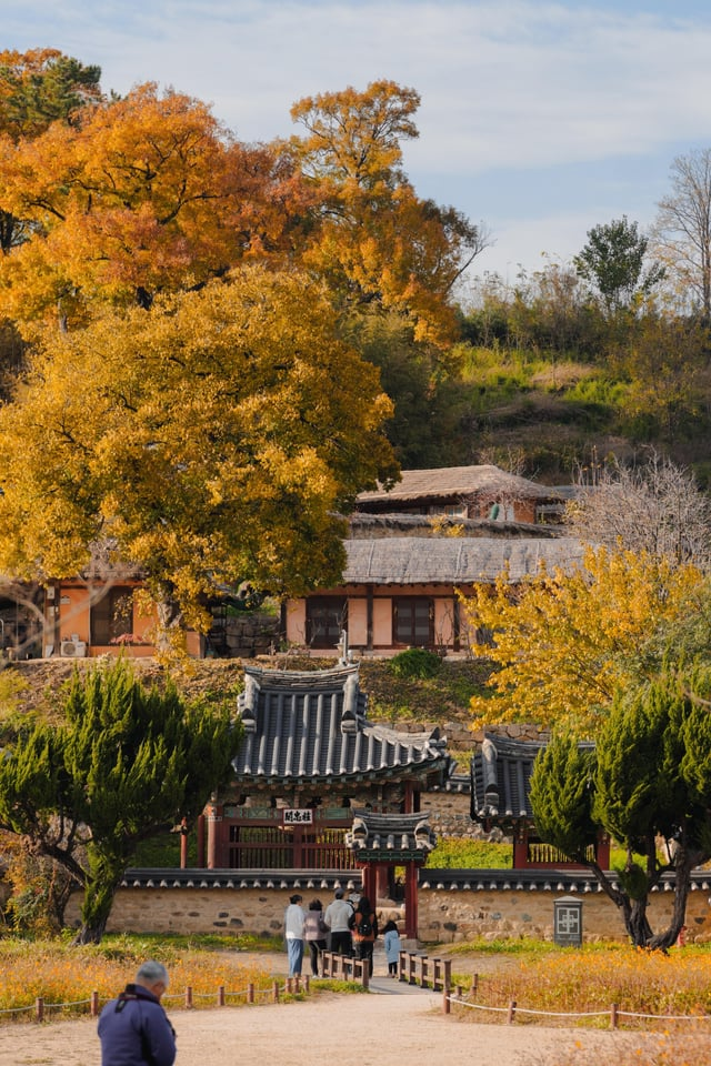 외국인들이 찍은 경주 여행 사진 | 인스티즈