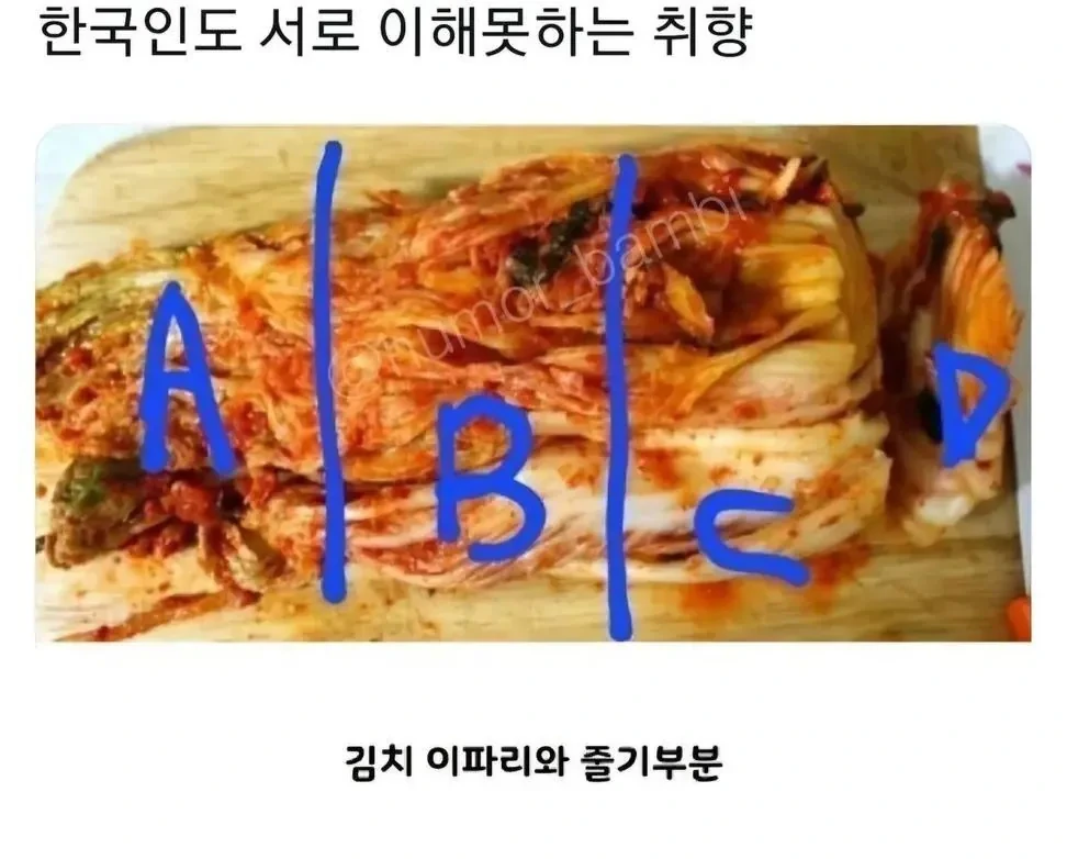 한국인도 서로 이해 못하는 김치 취향 | 인스티즈