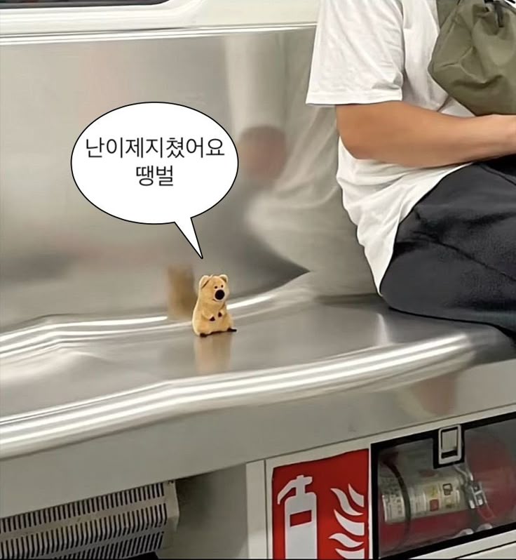 카톡 프사 가능 불가능 고르기 ✨️💤 | 인스티즈