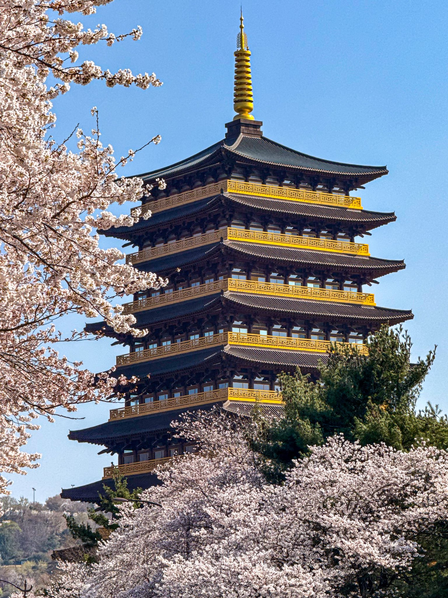 외국인들이 찍은 경주 여행 사진 | 인스티즈