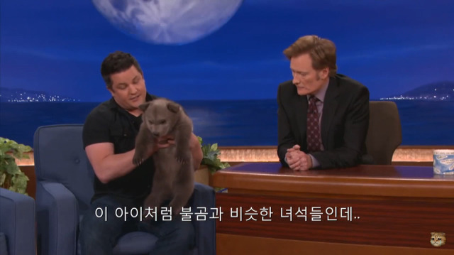 생후 11주된 아기 불곰의 충격적인 귀여움(코난 오브라이언 쇼) | 인스티즈