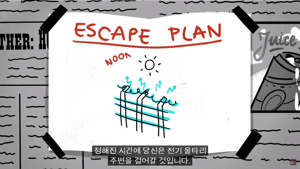 초고난이도 논리 테스트10: 전기울타리 탈옥.jpg ﻿ | 인스티즈