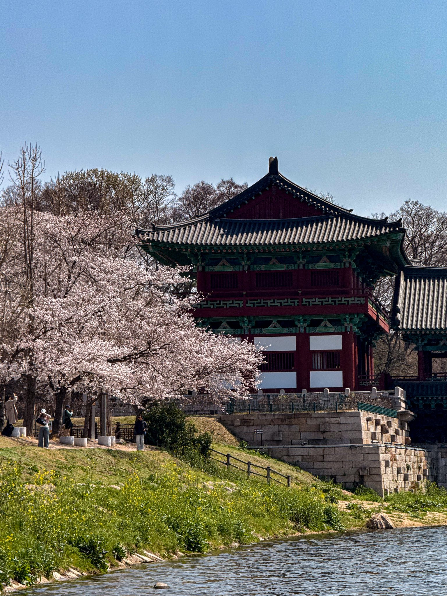 외국인들이 찍은 경주 여행 사진 | 인스티즈