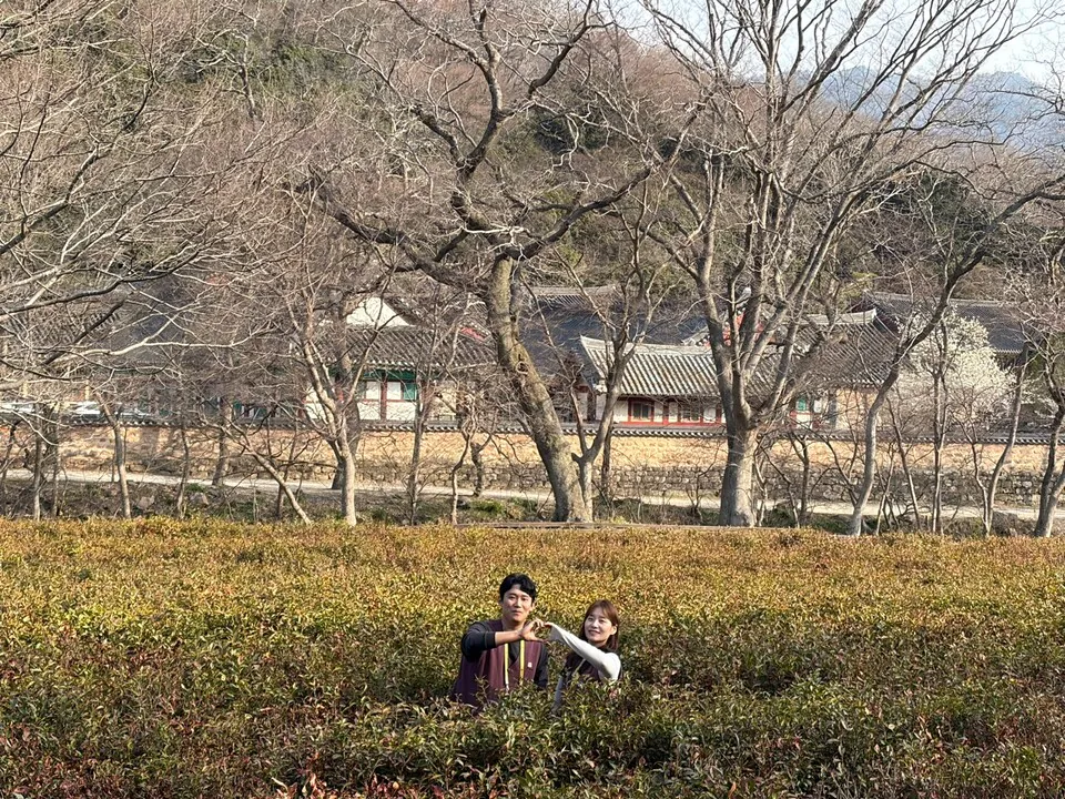 올해 첫 "나는 절로" 선운사에서 6커플 탄생 | 인스티즈