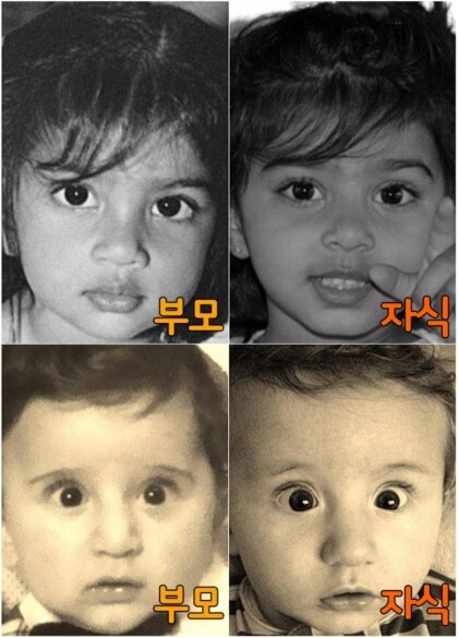 유전자의 놀라운 힘 | 인스티즈