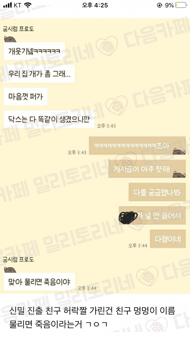 [냥공포] 내 친구 스너글의 최후 볼 사람...(잔인주의) | 인스티즈