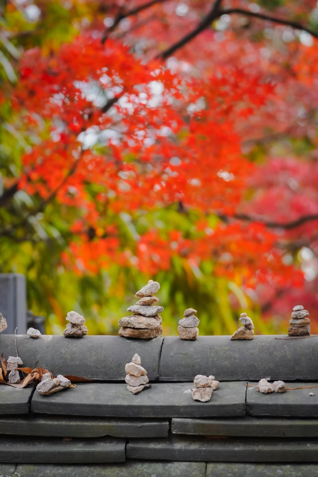 외국인들이 찍은 경주 여행 사진 | 인스티즈