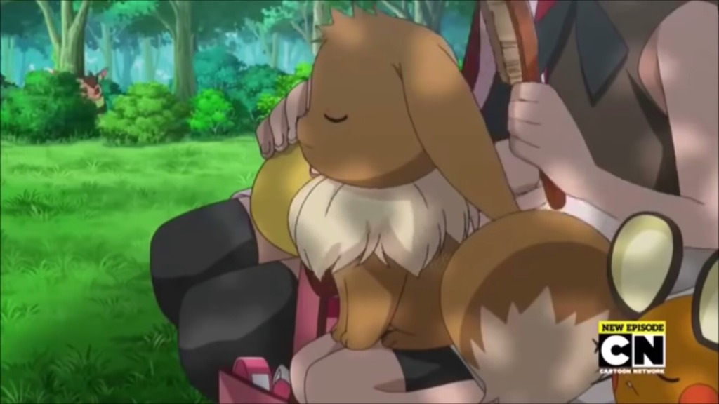 [포켓몬스터] 정말 충격적으로 예쁘고 귀여운 이브이 | 인스티즈