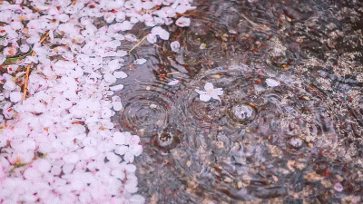 꿈에서 마주치는 것들은 왜 하나같이 내 것이 아닐까 | 인스티즈