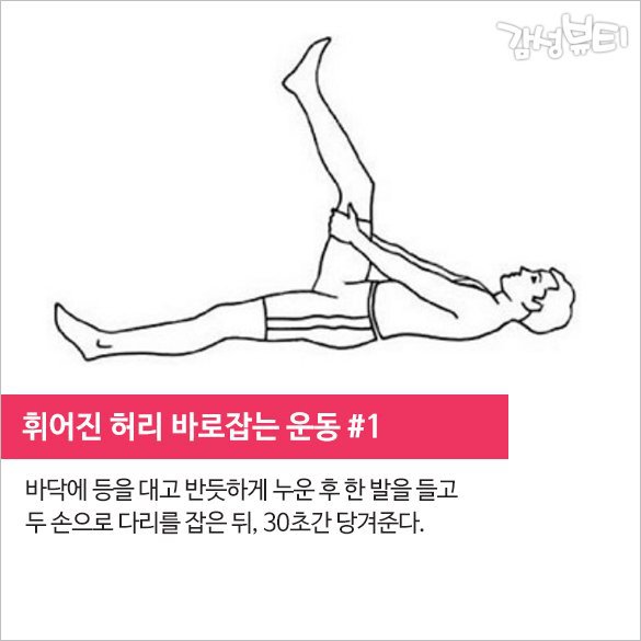 휘어진 허리 바로잡는 운동 | 인스티즈