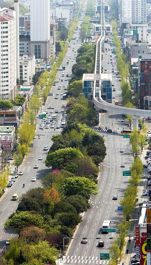 폭염도시로 유명한 대구를 그나마 살만하게 해준 정책.txt | 인스티즈