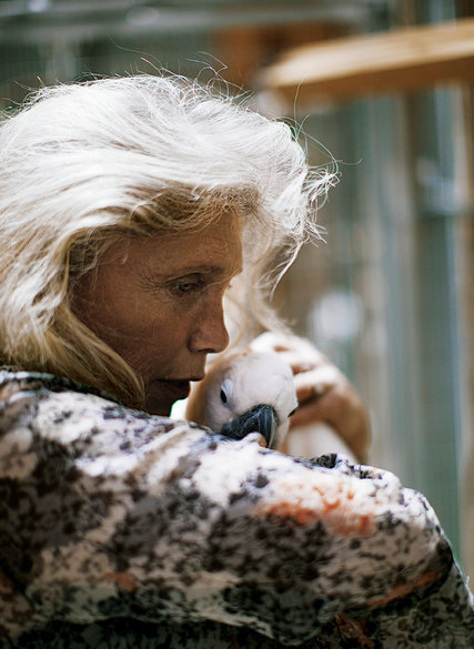 아름답고 자존감 높아 보이는 앵무새의 진실 (혐오주의) | 인스티즈