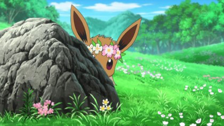 [포켓몬스터] 정말 충격적으로 예쁘고 귀여운 이브이 | 인스티즈