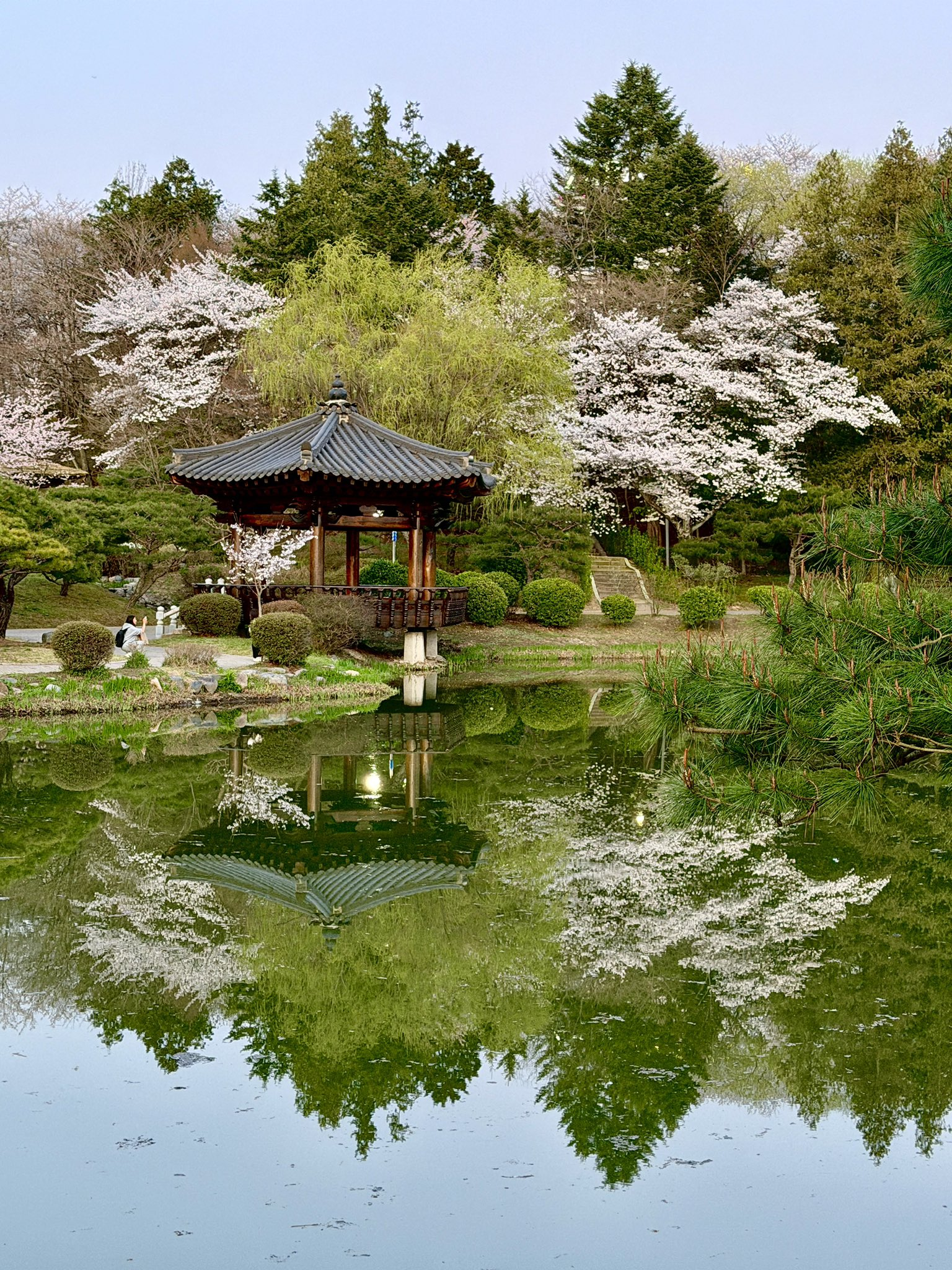 외국인들이 찍은 경주 여행 사진 | 인스티즈