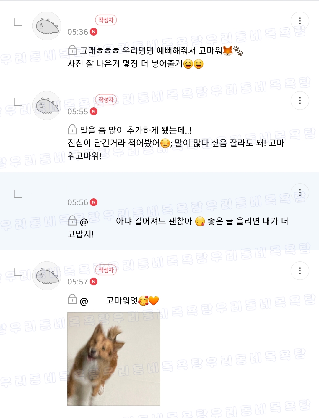 난 우리 강아지가 슈퍼스타됐음 좋겠어 그래서 스트릿출신도 진짜 행복할수있단거 보여주게 | 인스티즈