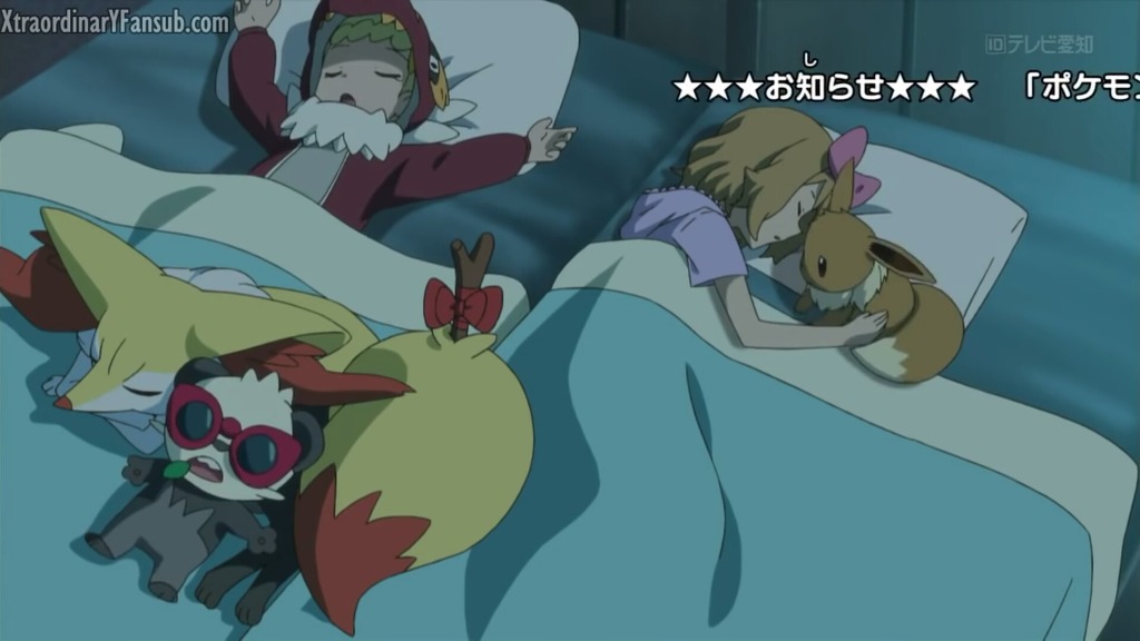 [포켓몬스터] 정말 충격적으로 예쁘고 귀여운 이브이 | 인스티즈