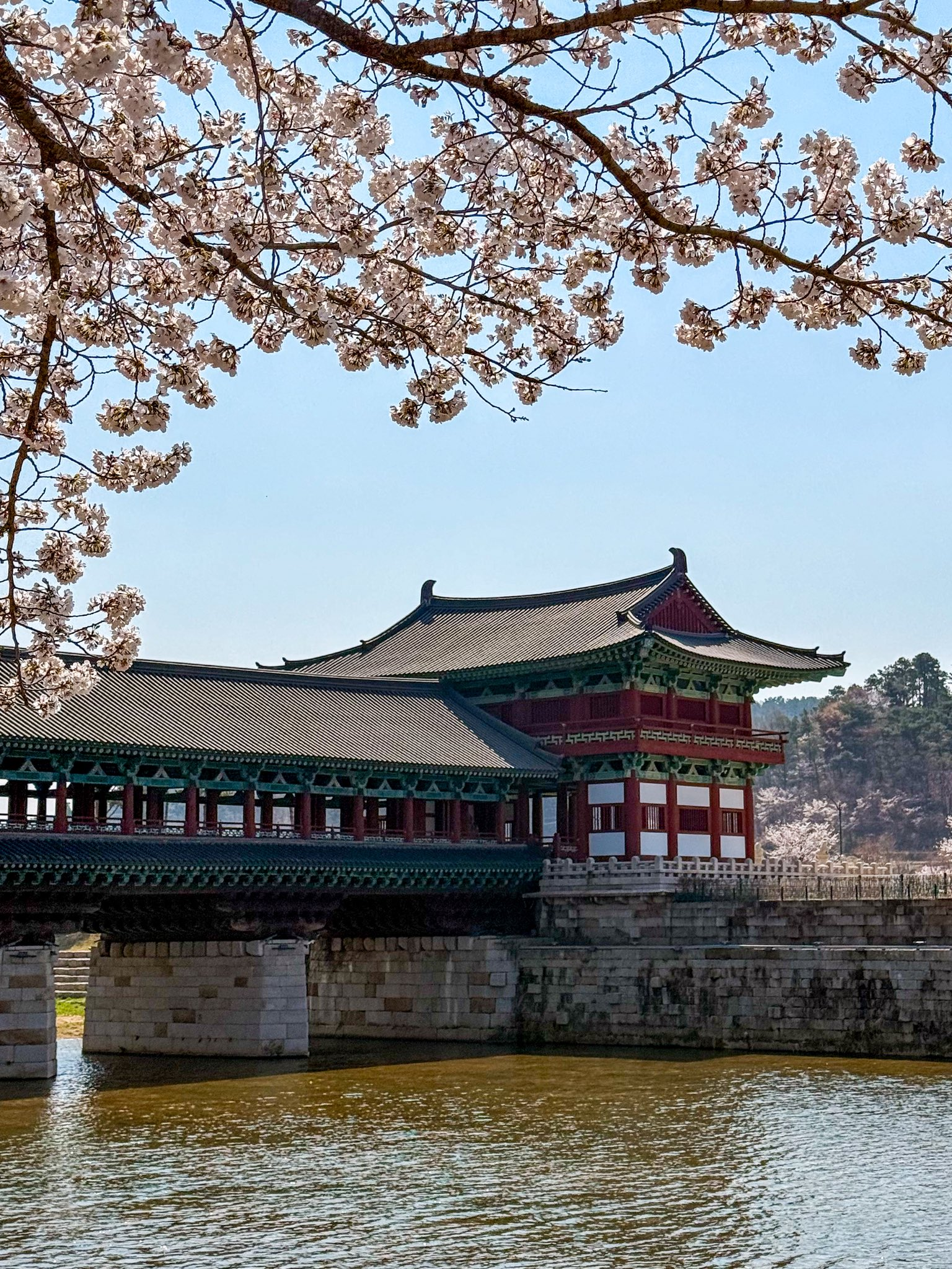 외국인들이 찍은 경주 여행 사진 | 인스티즈