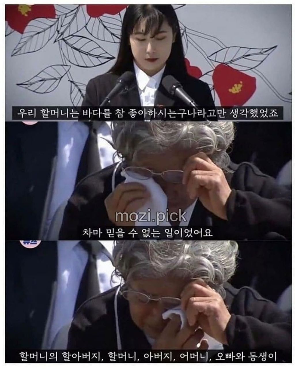 제주도 할머니가 생선을 먹지않는 이유 | 인스티즈