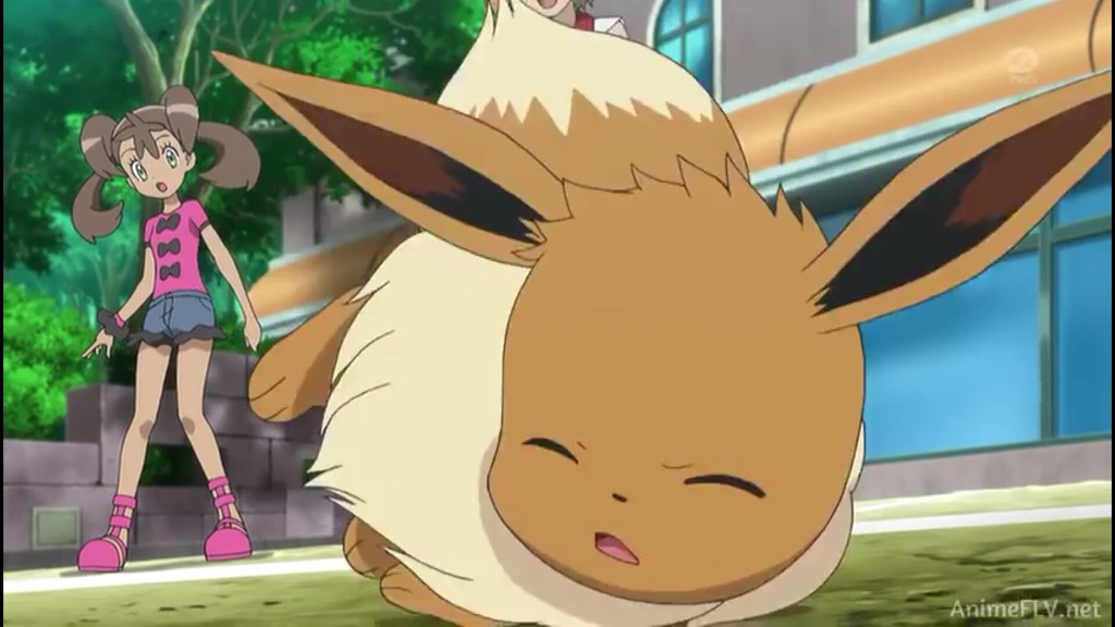 [포켓몬스터] 정말 충격적으로 예쁘고 귀여운 이브이 | 인스티즈