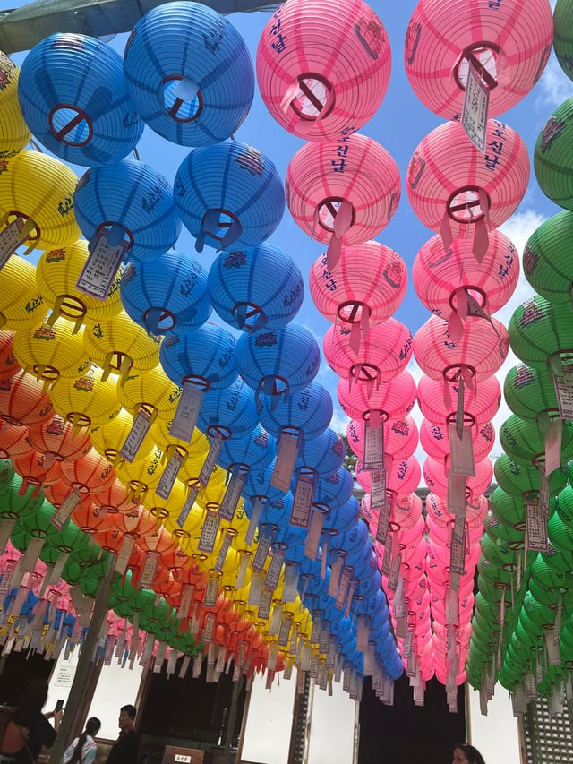 외국인들이 찍은 경주 여행 사진 | 인스티즈