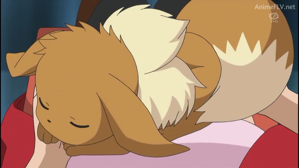 [포켓몬스터] 정말 충격적으로 예쁘고 귀여운 이브이 | 인스티즈