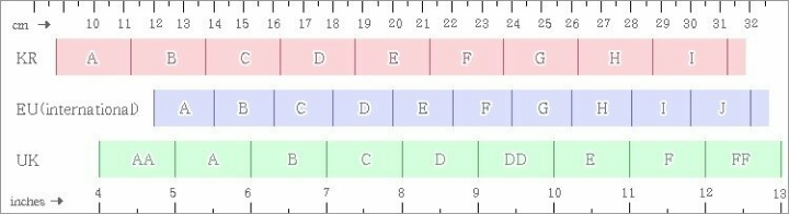 한국 미국 유럽 브라 사이즈 비교 | 인스티즈