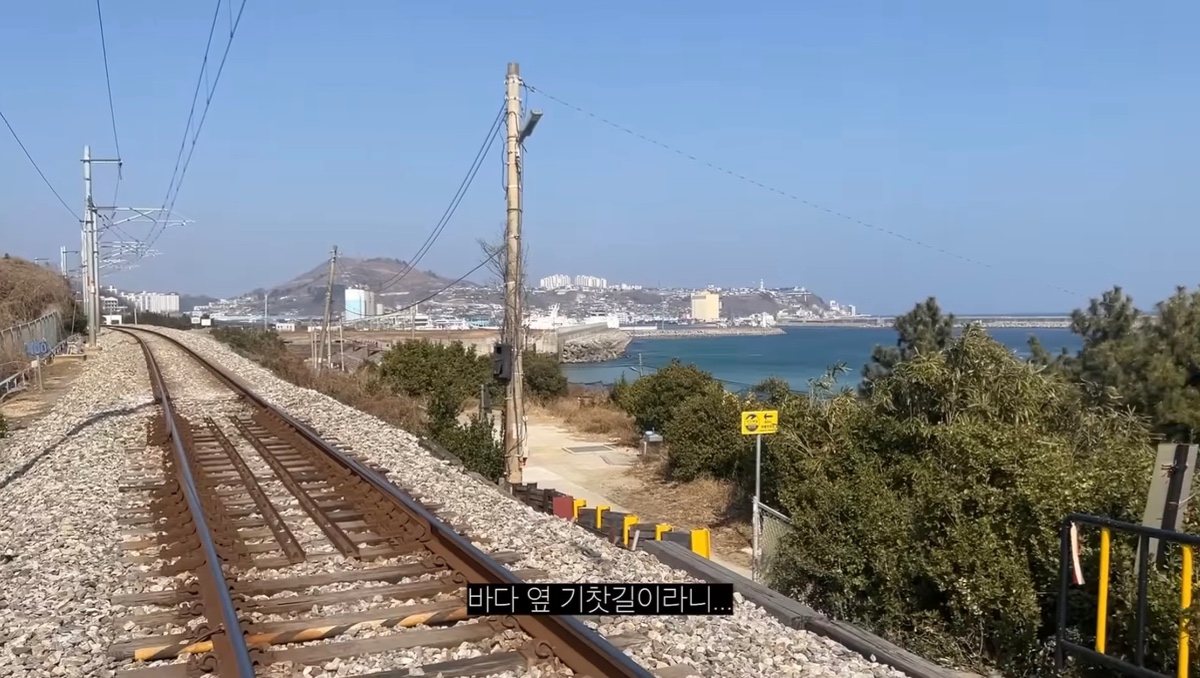작년부터 소소하게 붐인 여자 혼자가기 좋은 여행지.jpg | 인스티즈