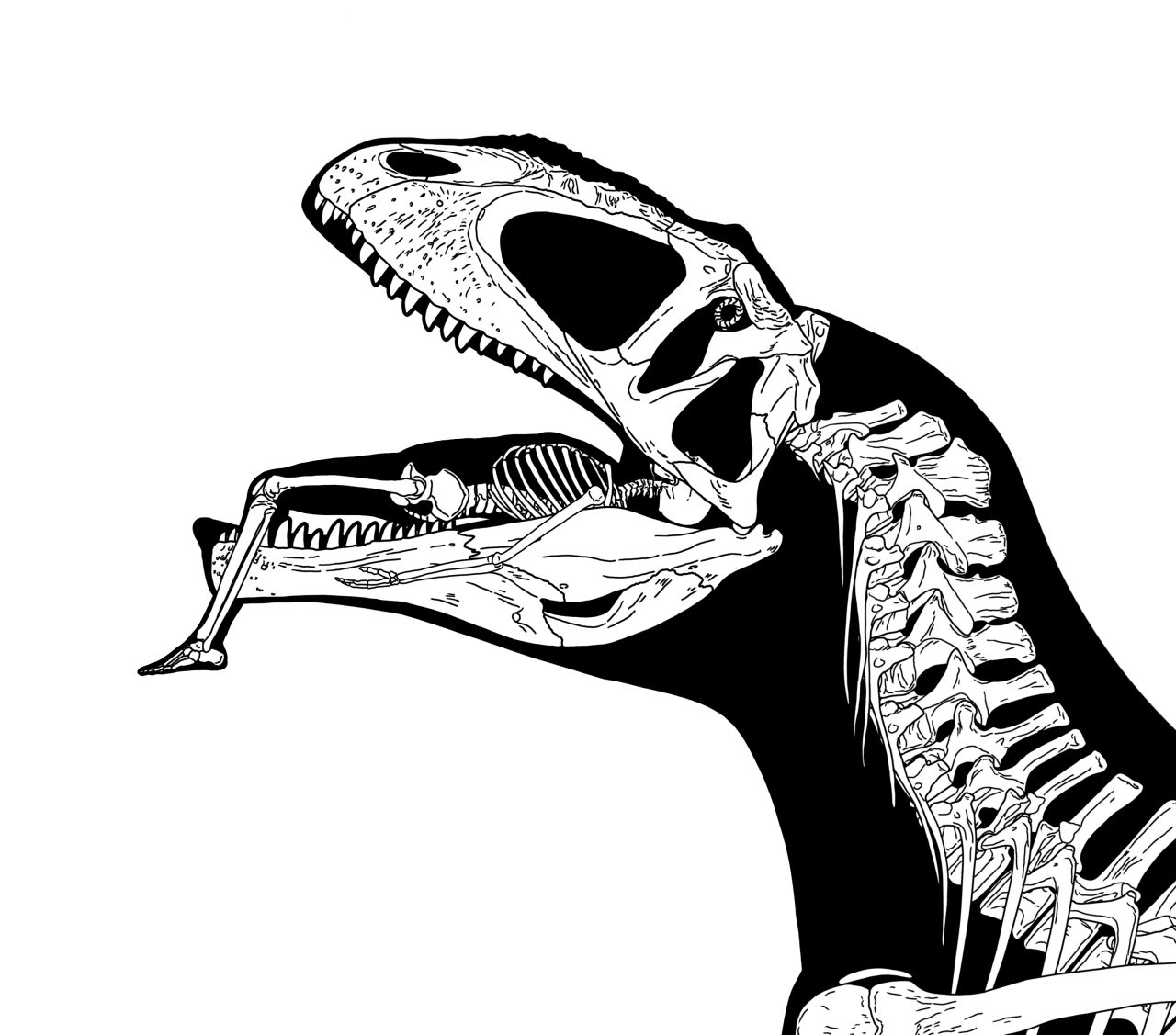 코끼리도 찢어죽일 수 있는 아프리카 최강의 포식자 | 인스티즈