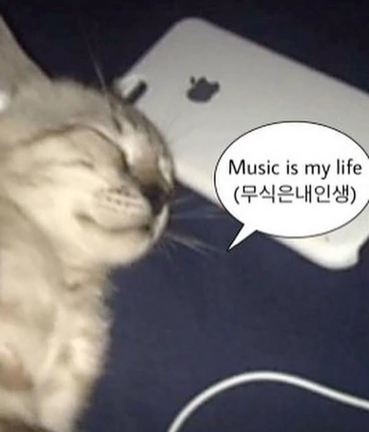 카톡 프사 가능 불가능 고르기 ✨️💤 | 인스티즈