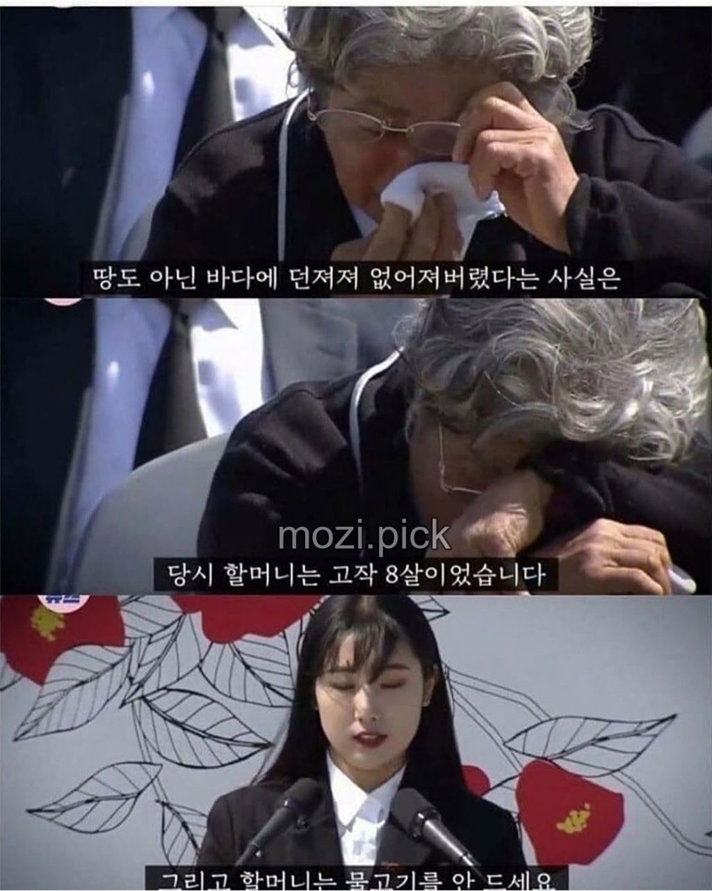 제주도 할머니가 생선을 먹지않는 이유 | 인스티즈