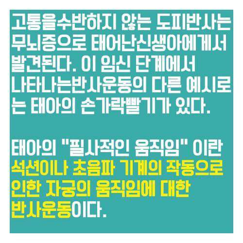 어릴적부터 여자들에게 세뇌시키듯 보여준 낙태비디오의 진실 | 인스티즈