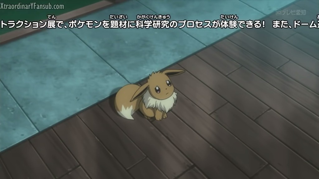 [포켓몬스터] 정말 충격적으로 예쁘고 귀여운 이브이 | 인스티즈