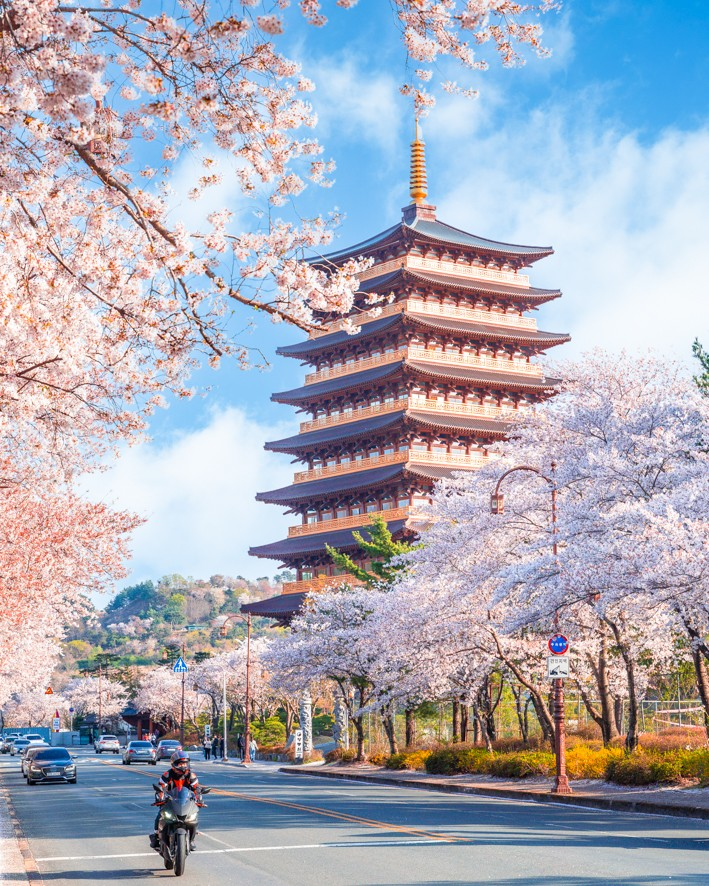 외국인들이 찍은 경주 여행 사진 | 인스티즈