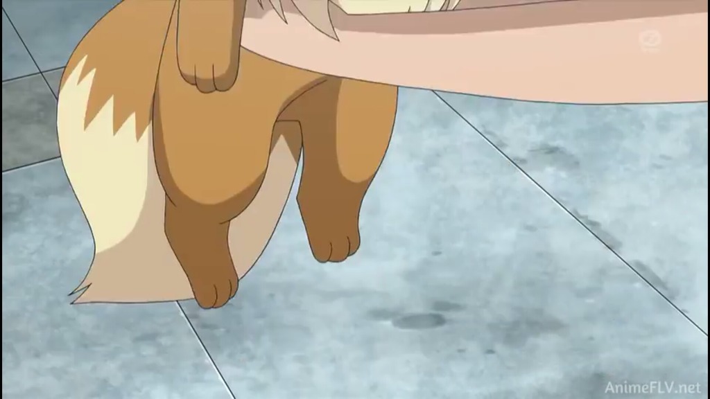 [포켓몬스터] 정말 충격적으로 예쁘고 귀여운 이브이 | 인스티즈