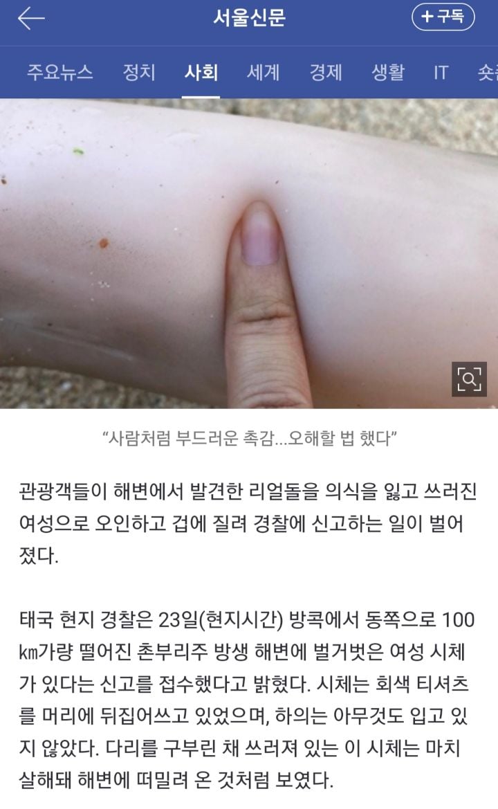 리얼돌 버리는법 | 인스티즈