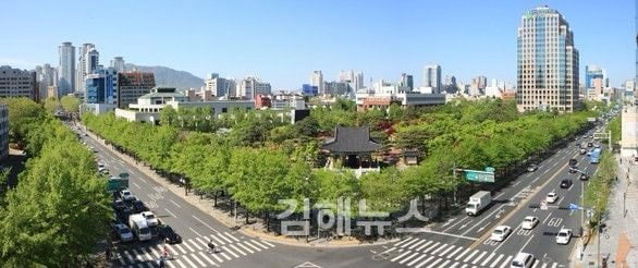 폭염도시로 유명한 대구를 그나마 살만하게 해준 정책.txt | 인스티즈