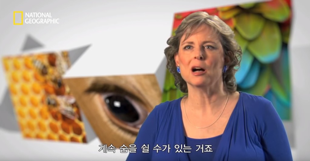 우리가 흔히 먹는 번데기의 삶 | 인스티즈